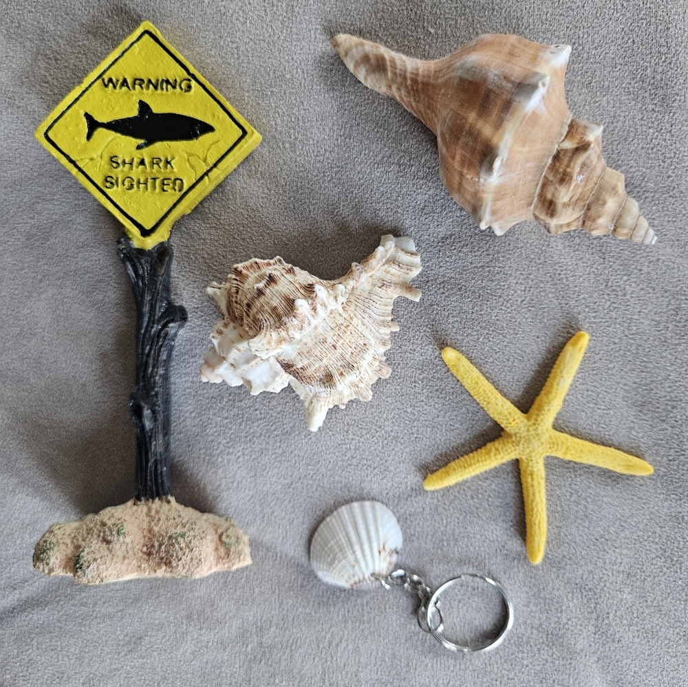 NEW Coastal Decor Set Shark Sign Shells Starfish & Shell Keychain Fish Tank Safe